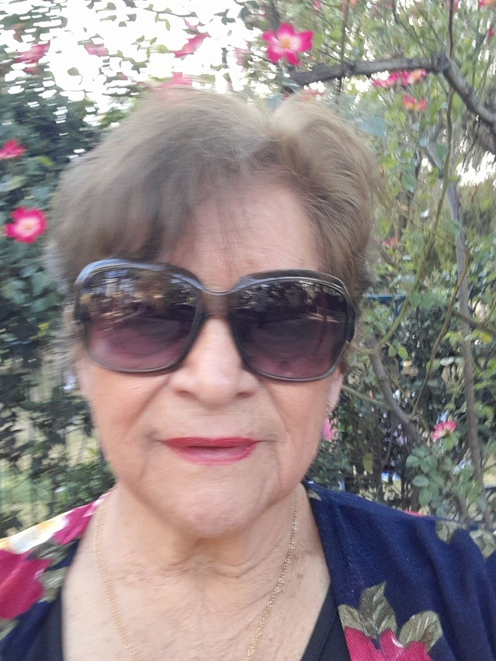 La vida es una alegría